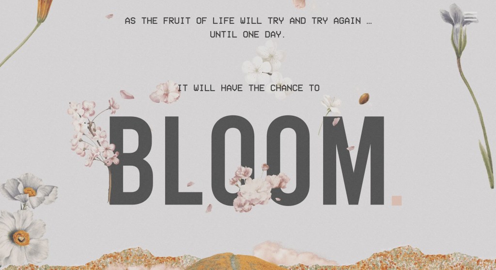 Screenshot of the Bloom website